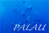 Palau1305.jpg