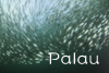 Palau1502.jpg