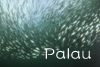 Palau1502.jpg